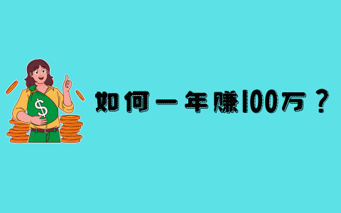 如何一年赚100万？